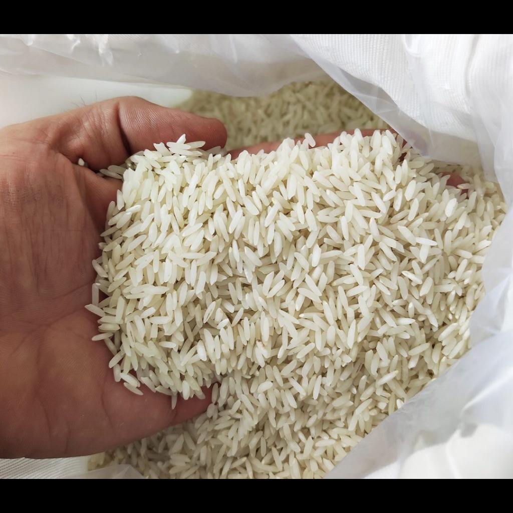 برنج-کشت-دوم برنج طارم هاشمی کشت دوم 10کیلویی - تصویر 1